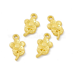 Rack Plating Alloy Pendants&nbsp;FIND-G045-48MG