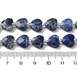 Natural Lapis Lazuli Beads Strands&nbsp;G-P570-E12-01