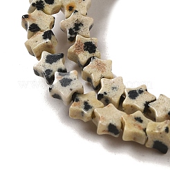Natural Dalmatian Jasper Beads Strands&nbsp;G-G085-B13-01