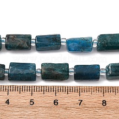 Natural Apatite Beads Strands&nbsp;G-L655-B03-01