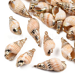 Electroplate Spiral Shell Pendants&nbsp;SSHEL-T006-12