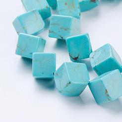 Natural Magnesite Beads Strands&nbsp;TURQ-K003-20B