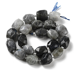 Natural Labradorite Beads Strands&nbsp;G-C105-A02-01