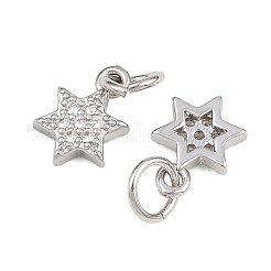 Brass Micro Pave Cubic Zirconia Pendants&nbsp;ZIRC-K070-41P