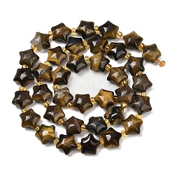 Natural Tiger Eye Beads Strands&nbsp;G-Z080-A16-10mm