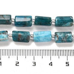 Natural Apatite Beads Strands&nbsp;G-G068-A11-01