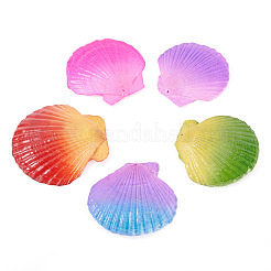 5Pcs Spray Painted Natural Scallop Shell Big Pendants&nbsp;SSHEL-TA0001-24