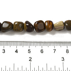 Natural Petrified Wood Beads Strands&nbsp;G-B078-D18-01