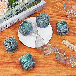 Polyester Iridescent Ribbon&nbsp;OCOR-WH20002-08A