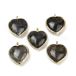 Natural & Synthetic Mixed Gemstone Pendants&nbsp;G-K347-10G