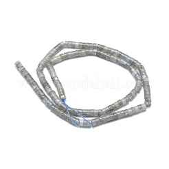 Natural Labradorite Beads Strand&nbsp;G-A177-01L-04