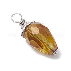 Electroplate Glass Pendants&nbsp;PALLOY-JF03208