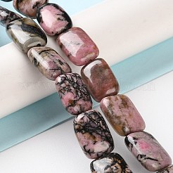 Natural Rhodonite Beads Strands&nbsp;G-K357-D09-01