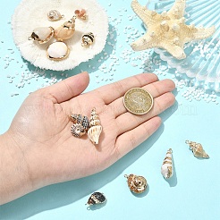 14Pcs 14 Colors Electroplated Natural Mixed Shell Pendants&nbsp;BSHE-YW0001-21
