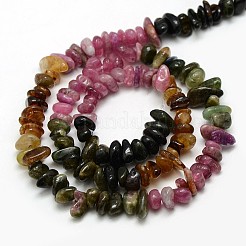 Natural Tourmaline Nuggets Bead Strands&nbsp;X-G-L154-A-07