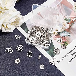 Tibetan Style Alloy Pendants&nbsp;TIBE-SC0001-11AS