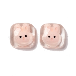 Transparent Resin Cabochons&nbsp;RESI-G034-A05