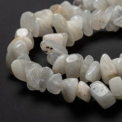 Natural Rainbow Moonstone Beads Strands&nbsp;G-A200-02