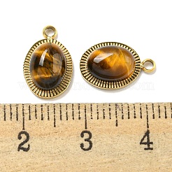 Natural Tiger Eye Oval Charms&nbsp;STAS-L278-126G