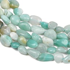 Natural Amazonite Nuggets Beads Strands&nbsp;G-J335-31B