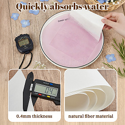 Dried Embossed Paper&nbsp;DIY-WH0622-646A