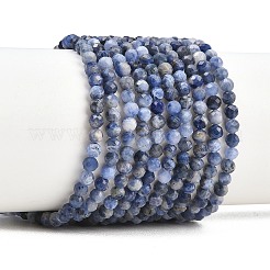 Natural Sodalite Beads Strands&nbsp;G-RM250104-A5