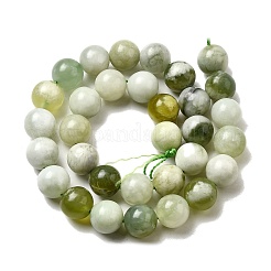 Natural New Jade Beads Strands&nbsp;G-K340-A01-12mm
