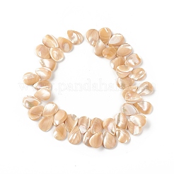 Natural Trochid Shell/Trochus Shell Beads&nbsp;SSHEL-T012-17
