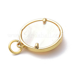 Brass Micro Pave Clear Cubic Zirconia Pendants&nbsp;ZIRC-L091-084G