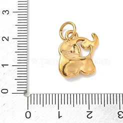 304 Stainless Steel Pendants&nbsp;STAS-C180-03G