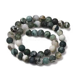 Natural Tree Agate Beads Strands&nbsp;X-G-T106-038