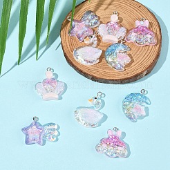 10Pcs 5 Styles Transparent Resin Pendants&nbsp;RESI-FS0002-08