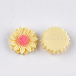 Resin Cabochons&nbsp;CRES-T010-60H