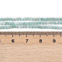 Natural Amazonite Bead Strands&nbsp;G-P279-42-2mm-01