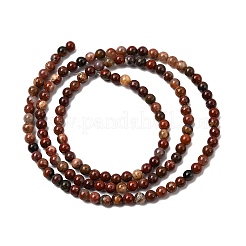 Natural Agate Bead Strands&nbsp;G-K146-55-3mm