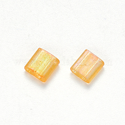 FGB 2-Hole Baking Paint Transparent Glass Seed Beads&nbsp;SEED-S031-L-251