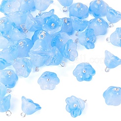 38Pcs Glass Charms&nbsp;GLAA-TADJ0001-19A