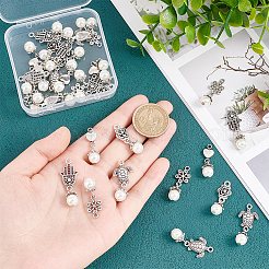 6 Sets Acrylic Imitated Pearl Pendants&nbsp;FIND-AR0003-37