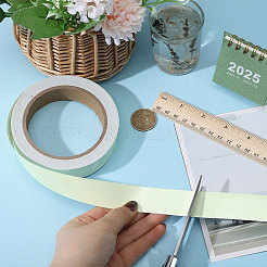 Luminous Adhesive PET Tapes&nbsp;DIY-WH0661-58