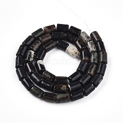 Natural Biotite Beads Strands&nbsp;G-T140-57
