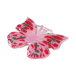Transparent Resin Pendants&nbsp;RESI-K033-02
