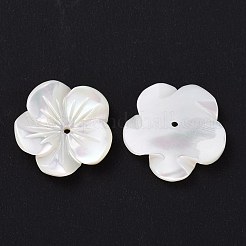 Natural Trochid Shell/Trochus Shell Beads&nbsp;SHEL-P014-02D