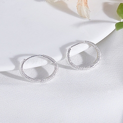 1Pair Alloy Hoop Earrings&nbsp;EJEW-LP0008-033