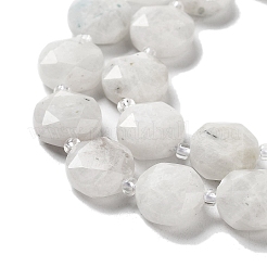 Natural Rainbow Moonstone Beads Strands&nbsp;G-NH0004-023