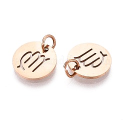 304 Stainless Steel Charms&nbsp;STAS-Q201-T445-6R