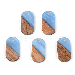 Opaque Resin & Walnut Wood Pendants&nbsp;RESI-S389-023A-C
