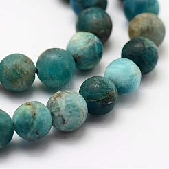 Natural Apatite Beads Strands&nbsp;G-K193-8mm-12