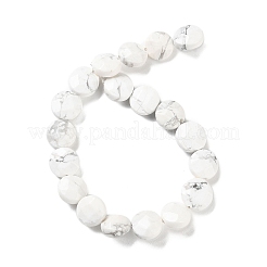 Natural Howlite Beads Strands&nbsp;G-K357-B06-01