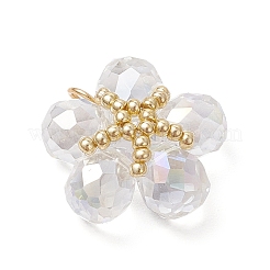 Transparent Glass Pendants&nbsp;PALLOY-MZ00645