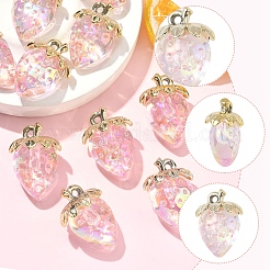 10Pcs Transparent Acrylic Pendants&nbsp;MACR-FS0002-08B